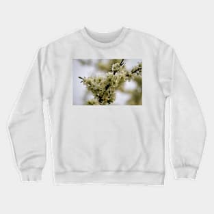 Spring Blossom Crewneck Sweatshirt